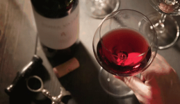 法國紅酒怎么找到學習